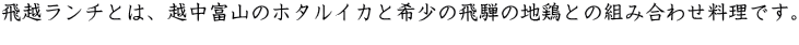 z`Ƃ́AzxR̃z^CJƊ󏭂̔˂̒n{Ƃ̑gݍ킹łB 